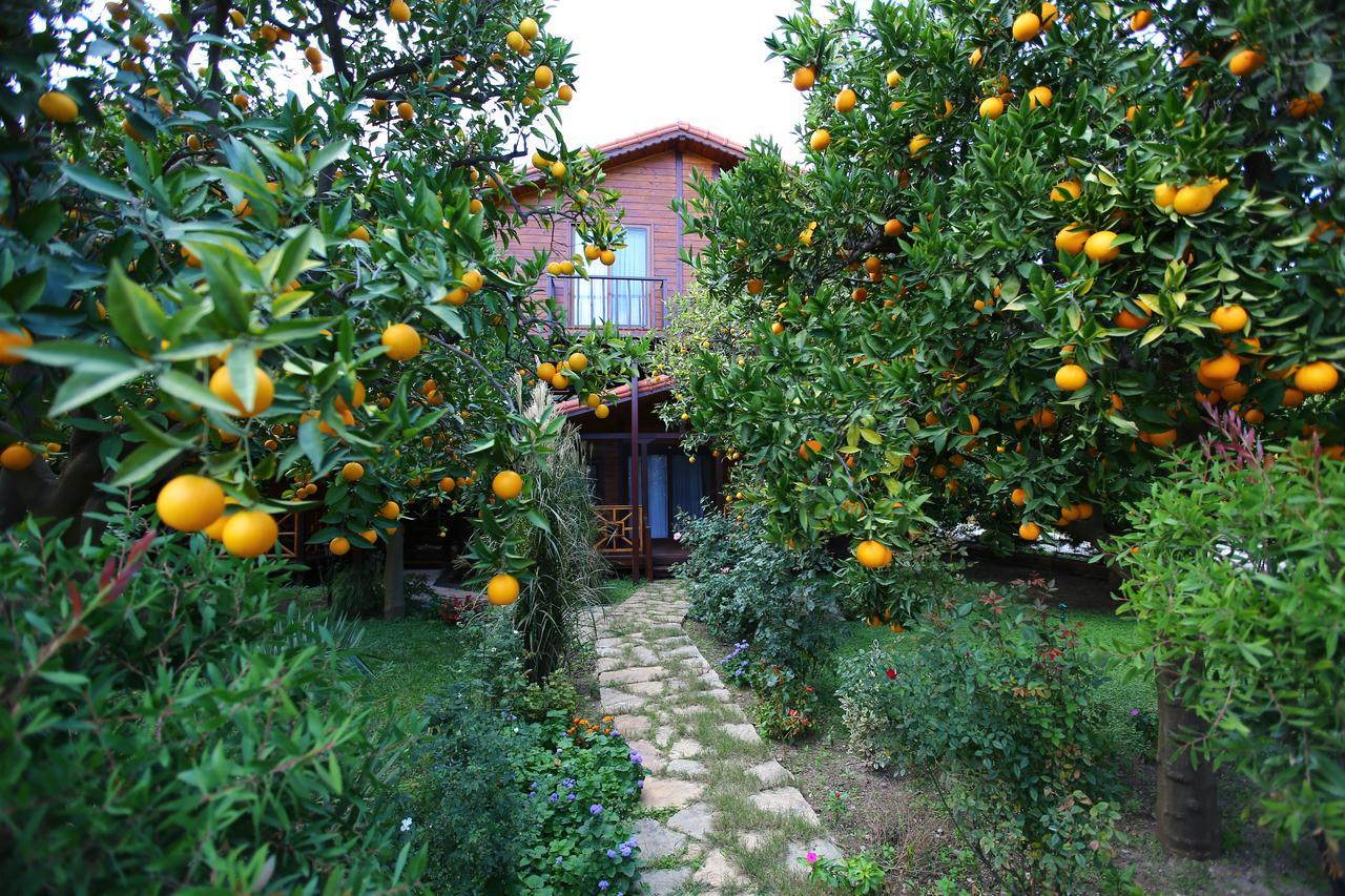 Bahce Villa Чирали Екстериор снимка