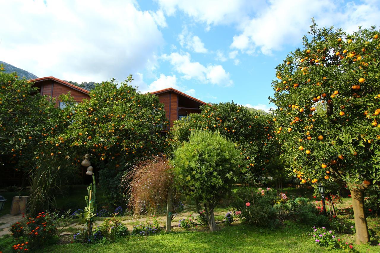 Bahce Villa Чирали Екстериор снимка